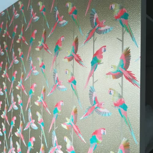 matthew williamson arini